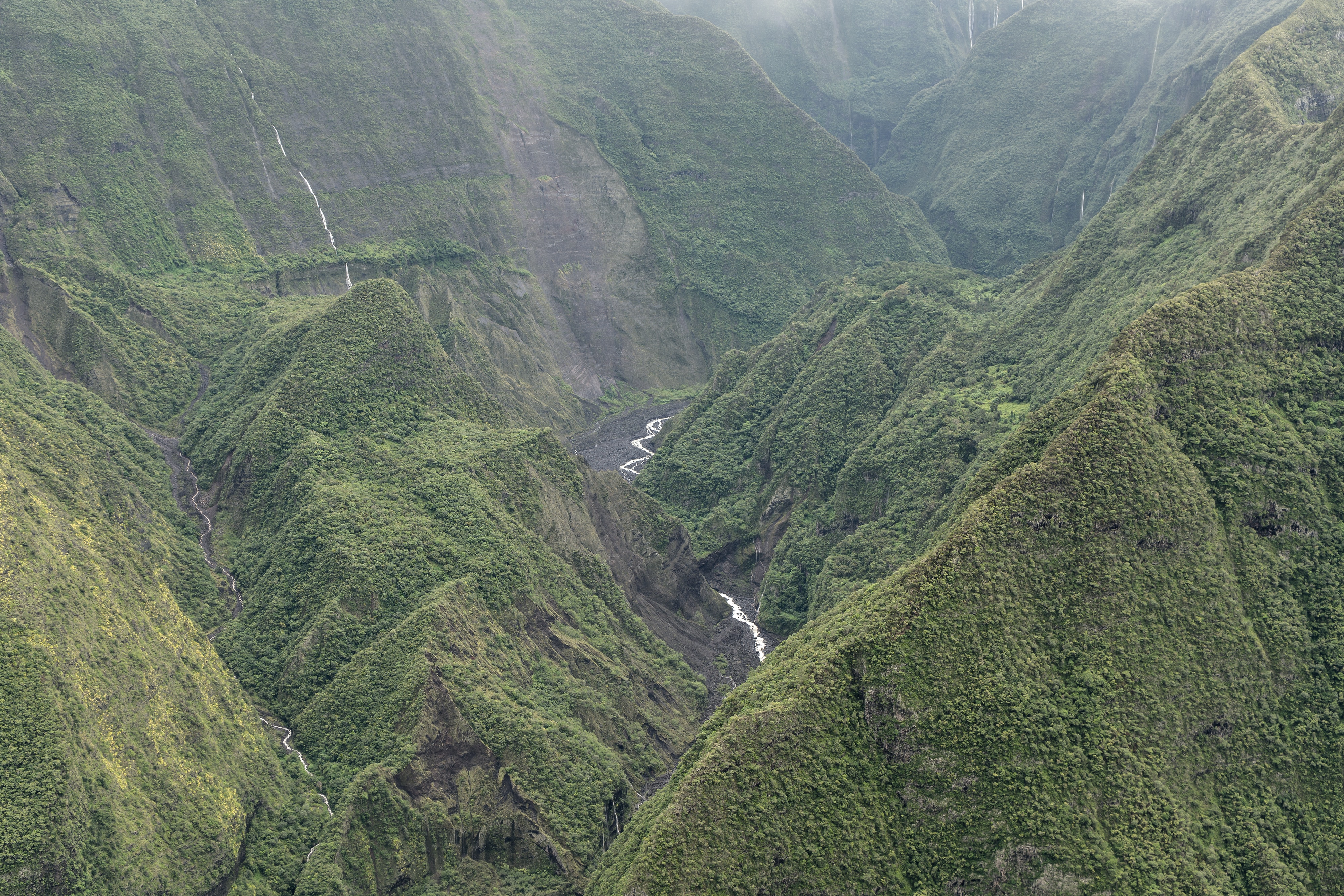 A la découverte des circuits de randonnées à la Réunion