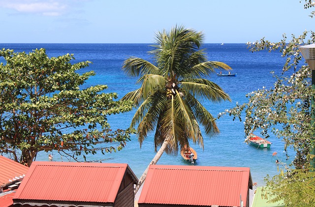 Découvrir la Martinique sous ses meilleurs jours