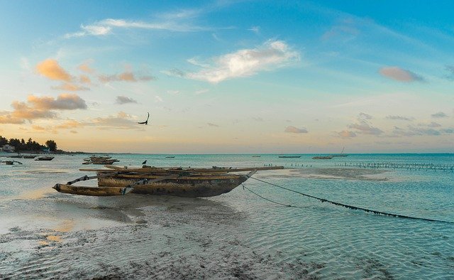 Voyager en Afrique : ce qu’il faut savoir sur Zanzibar